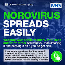 Infographic with info on norovirus spreading
